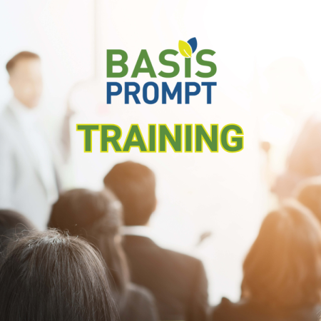 Basis Prompt Training-2