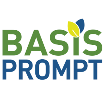 Basis Prompt