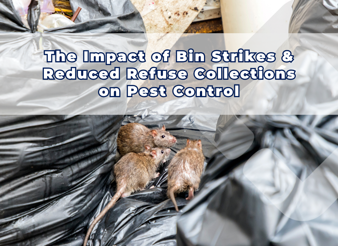 The Impact of Bin Strikes and Reduced Refuse Collections on Pest ...